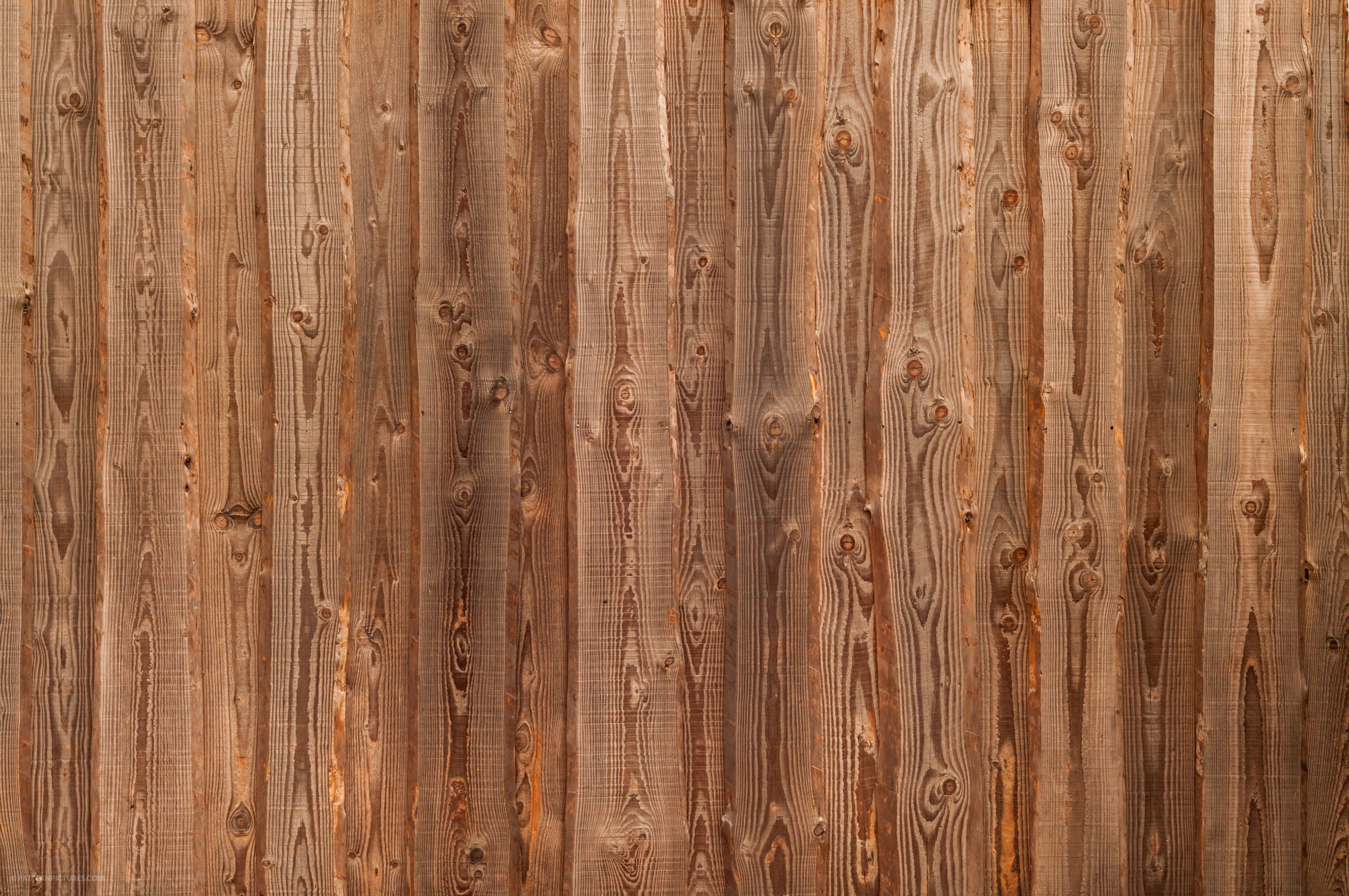 Wood texture free photo