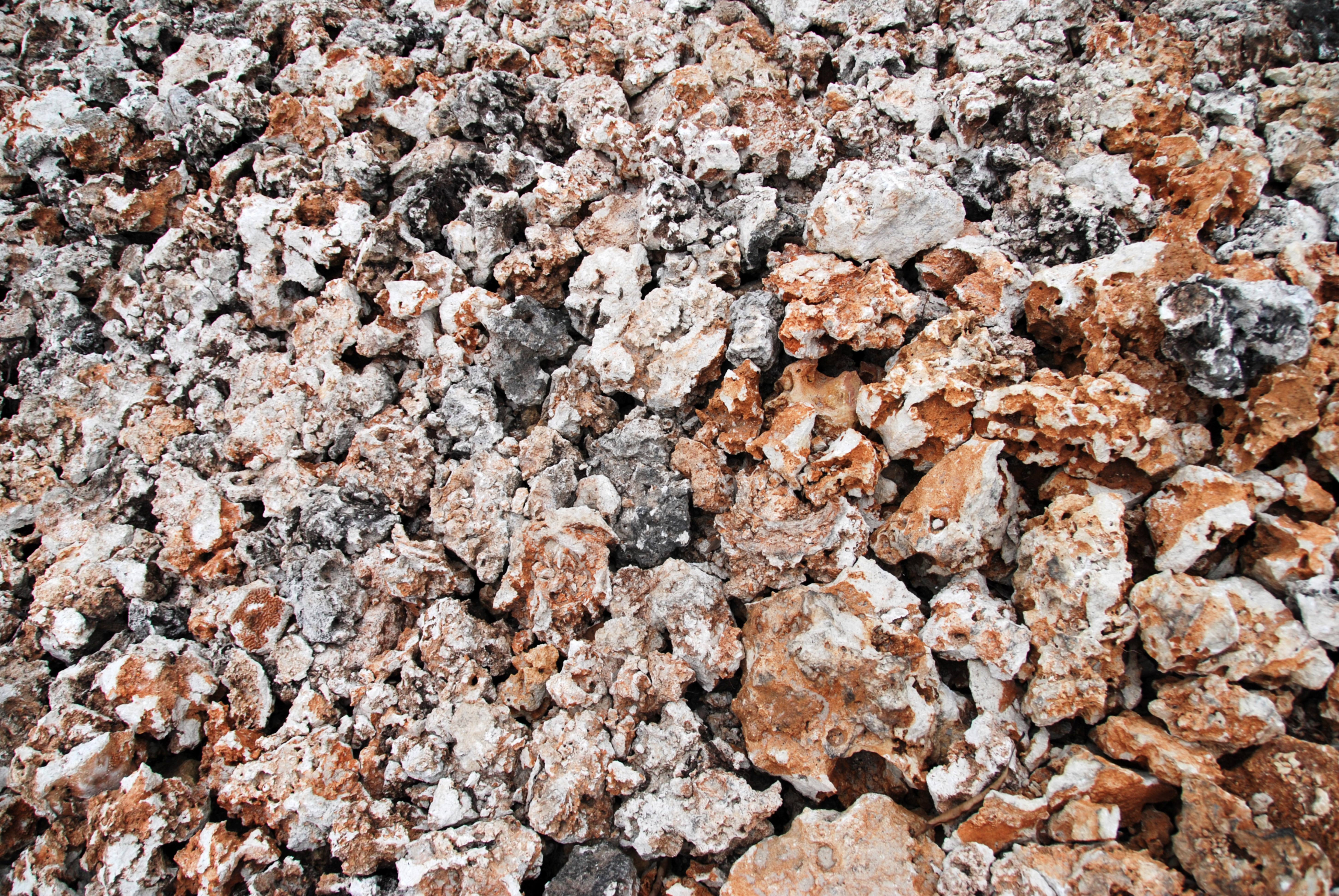 Zanzibar beach rocks background