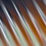 Car light reflector close-up