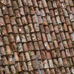 Old roof with moss