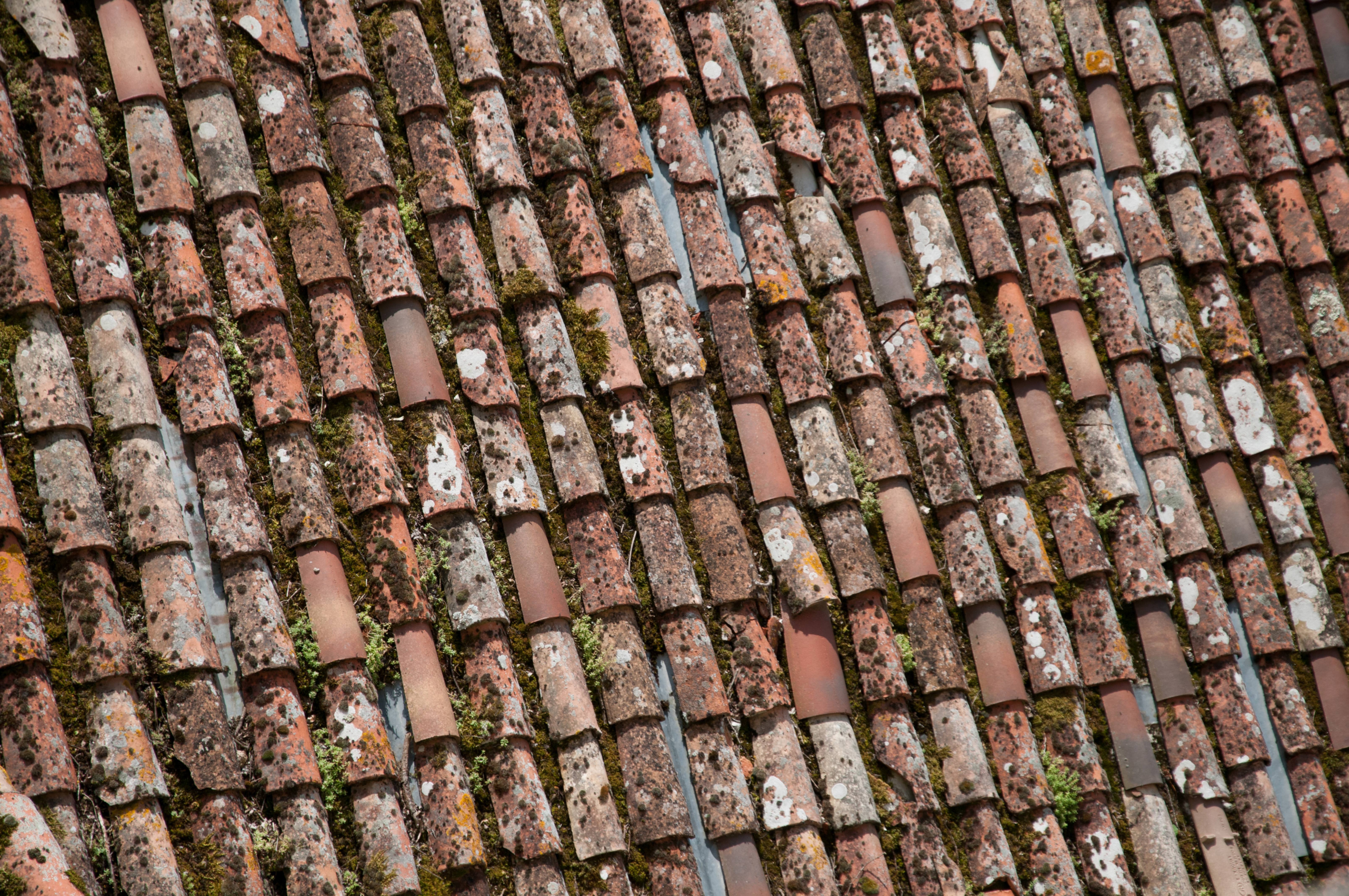Old roof with moss