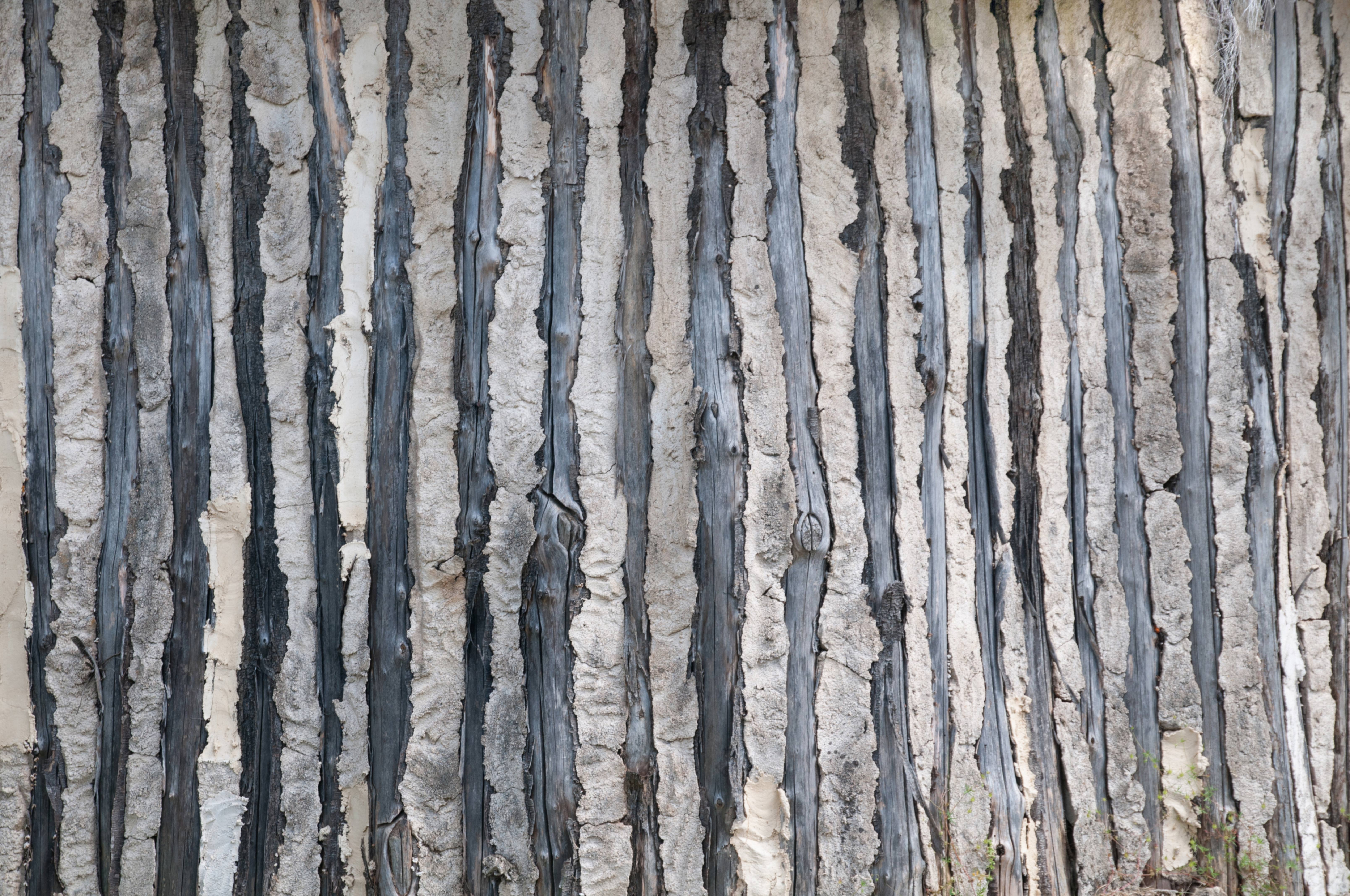 Prehistoric clay and wood wall