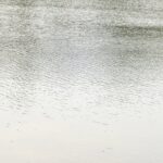 Rippling water stream