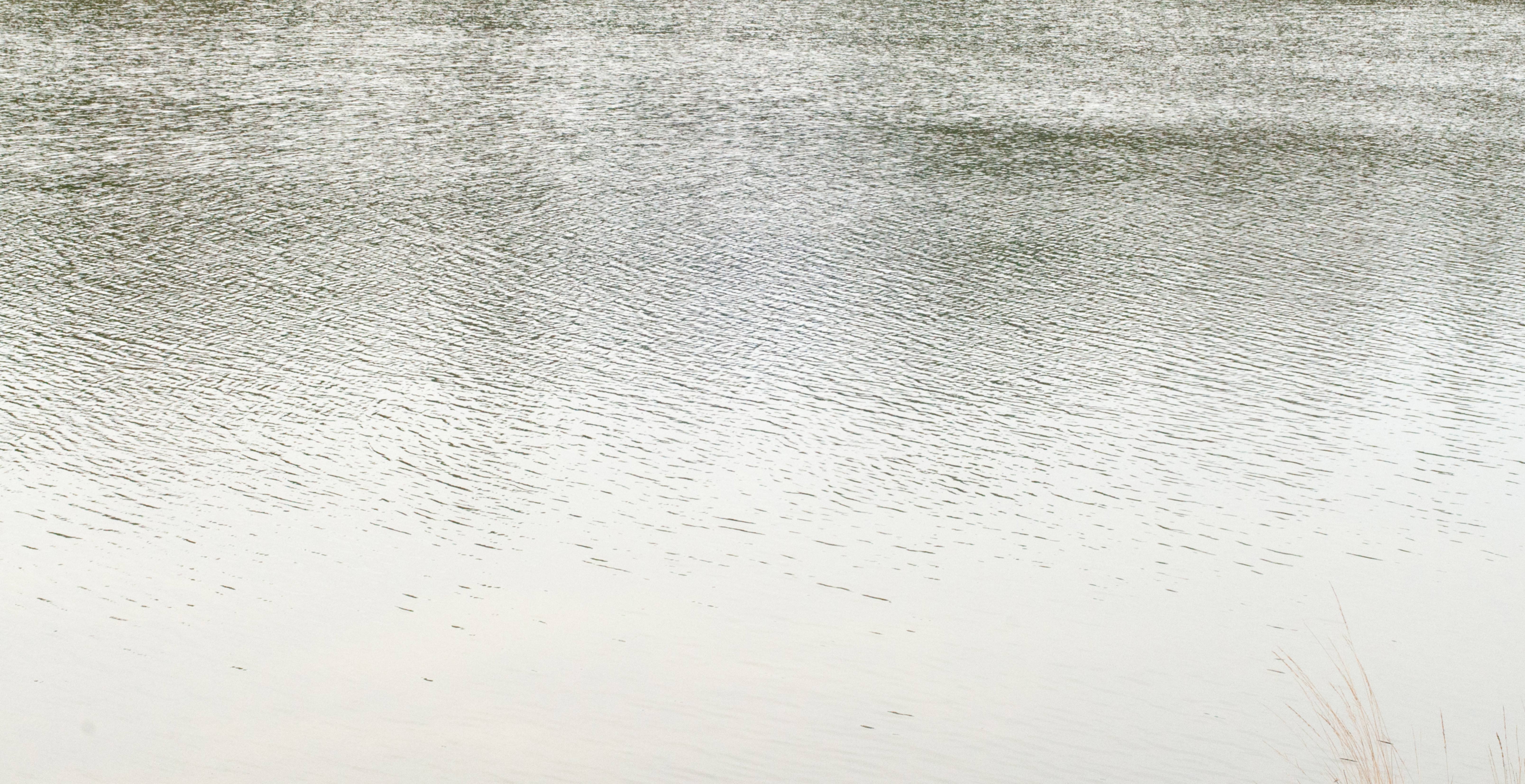 Rippling water stream