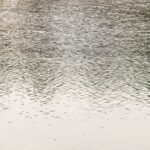 Subtle rippling water texture