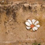 Wall flower stones