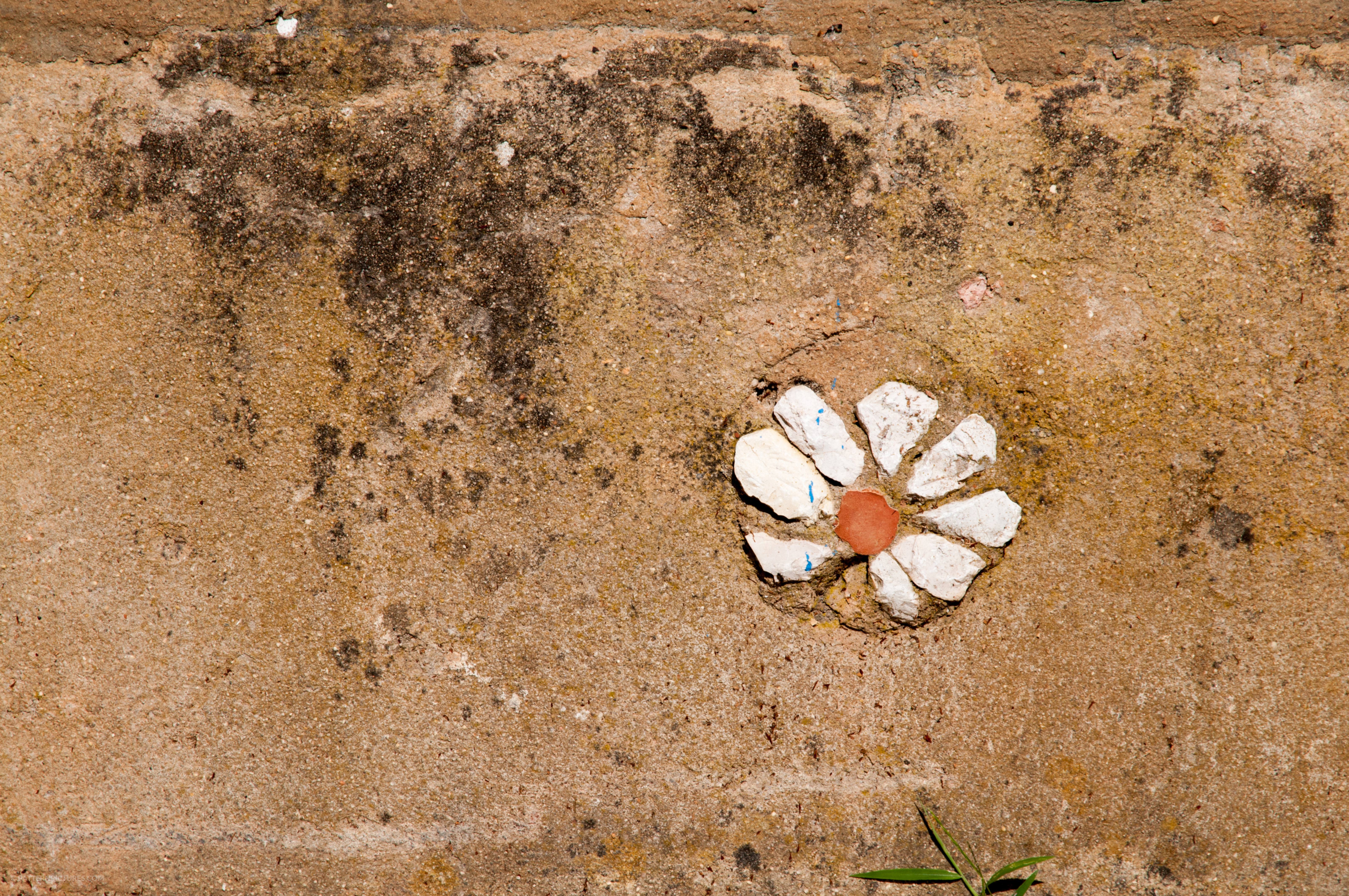 Wall flower stones