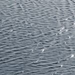 Calm lake Water texture