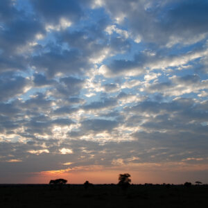 Serengeti blue low-level cloudy sunrise sky