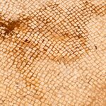 Small Mosaic Dirt Floor