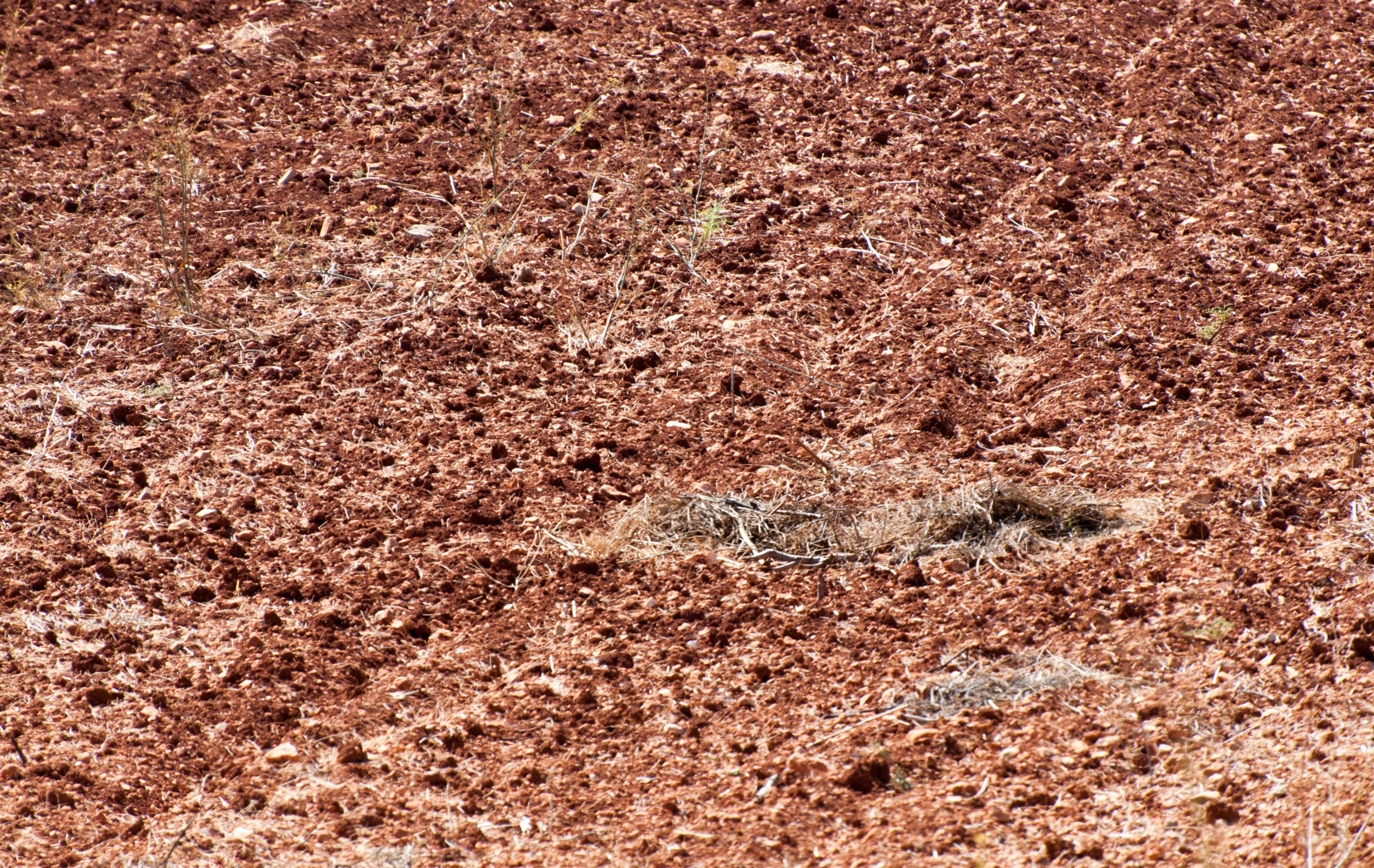 Earth dirt background