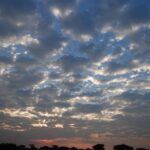 Serengeti wildpark sky panorama