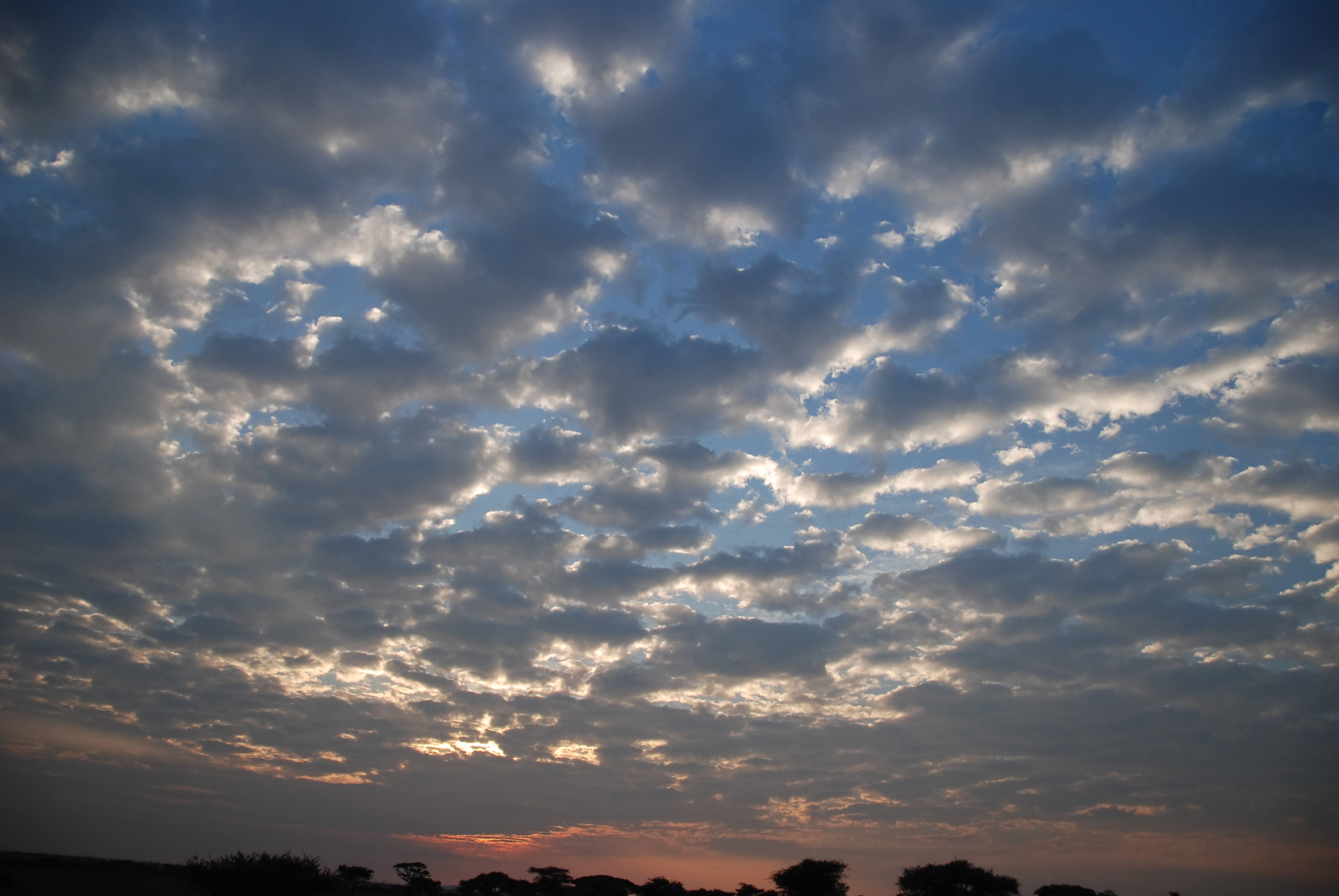 Serengeti wildpark sky panorama
