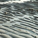 Beach Sand Waves Pattern