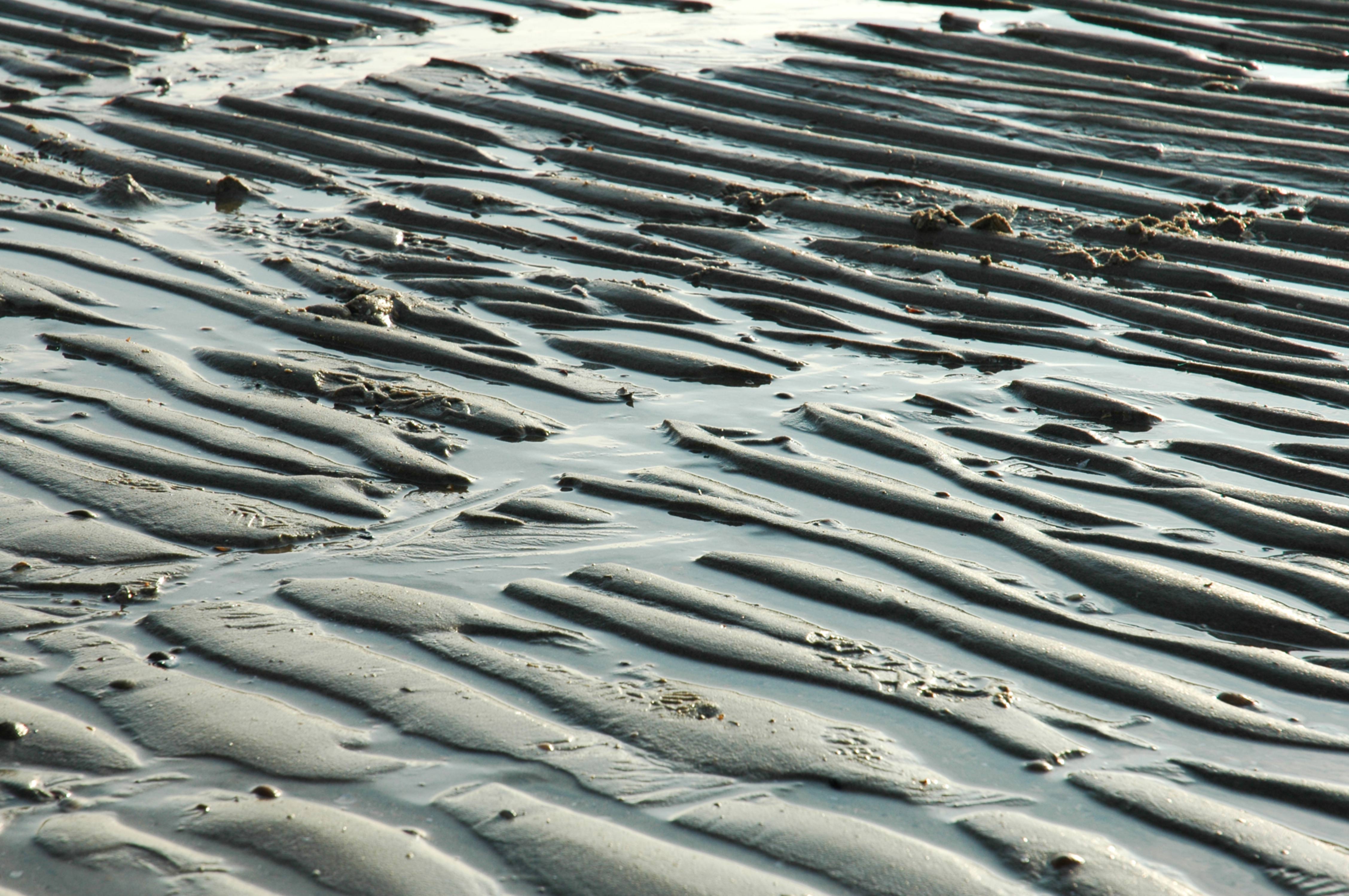 Beach Sand Waves Pattern