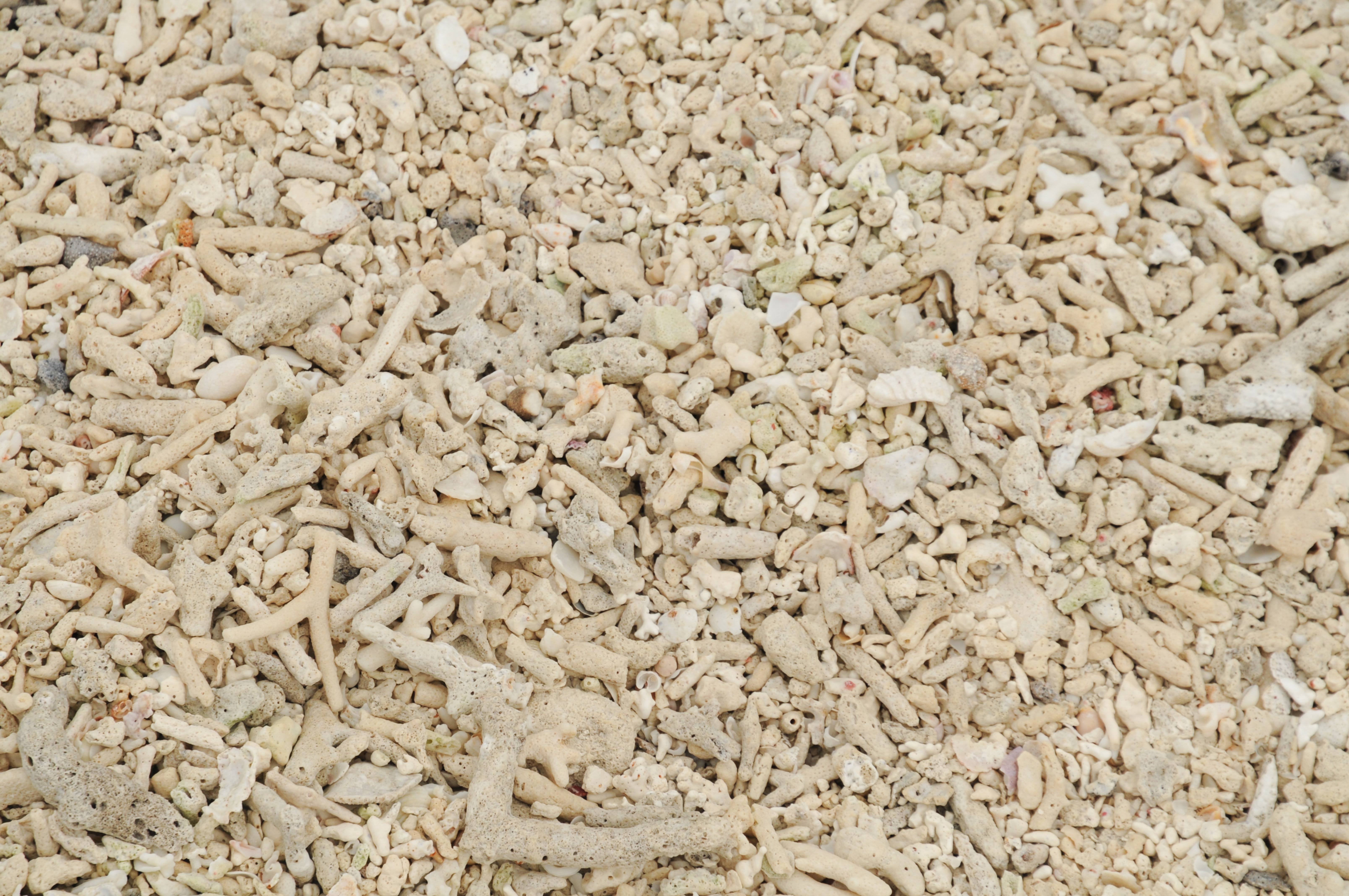 Light coral stones background