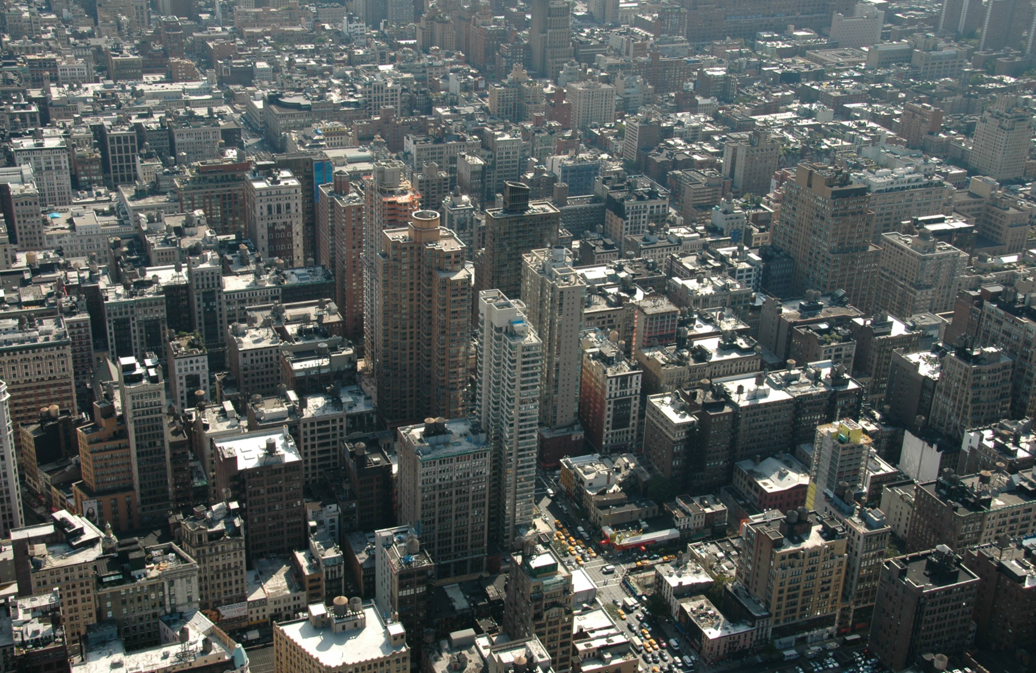 Concrete Jungle New York City