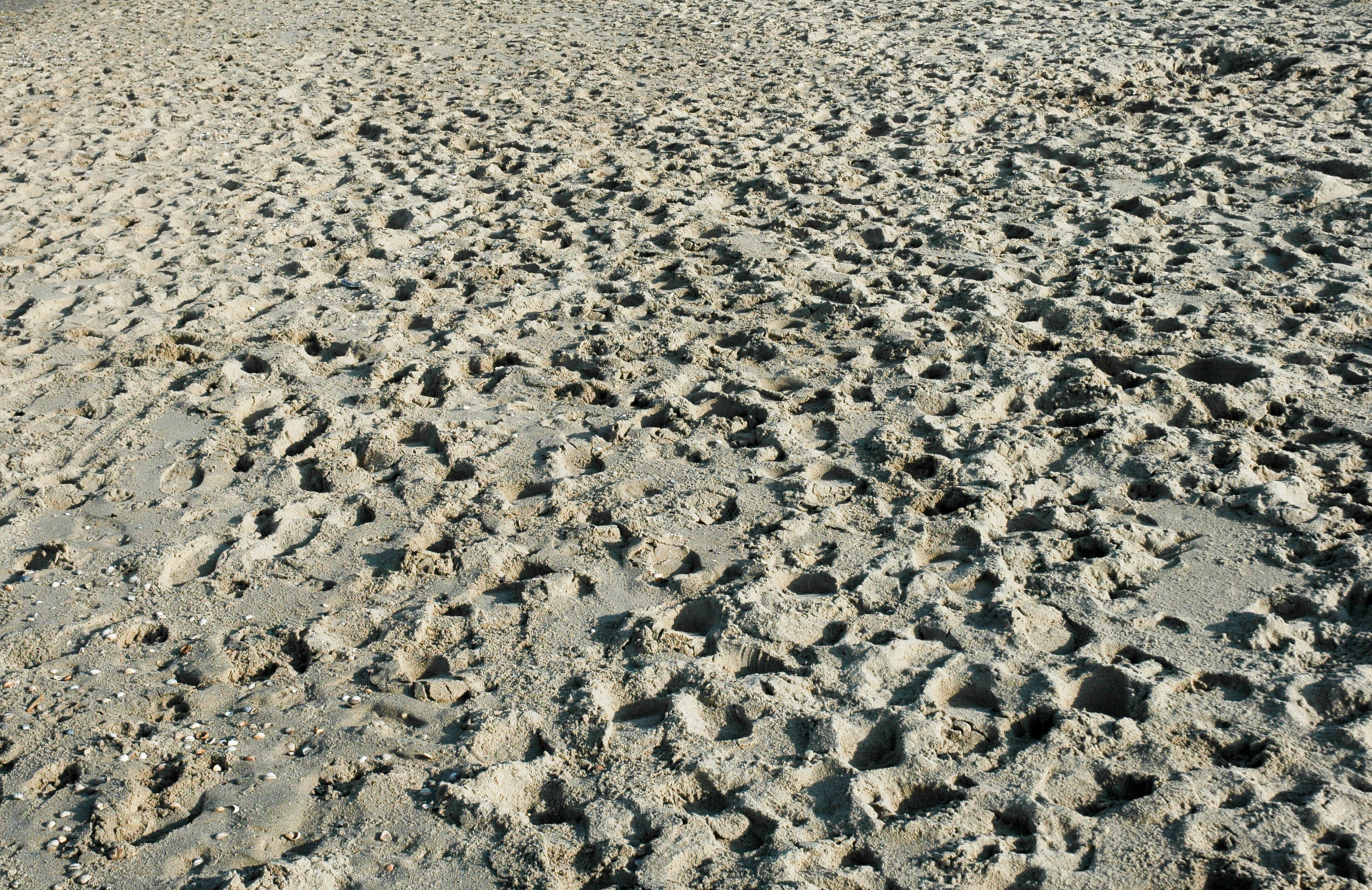 Beach Sand Footsteps Pattern