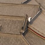 Chinese Temple Rooftops