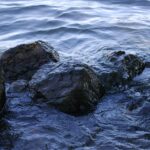 Dark Water and Rocks