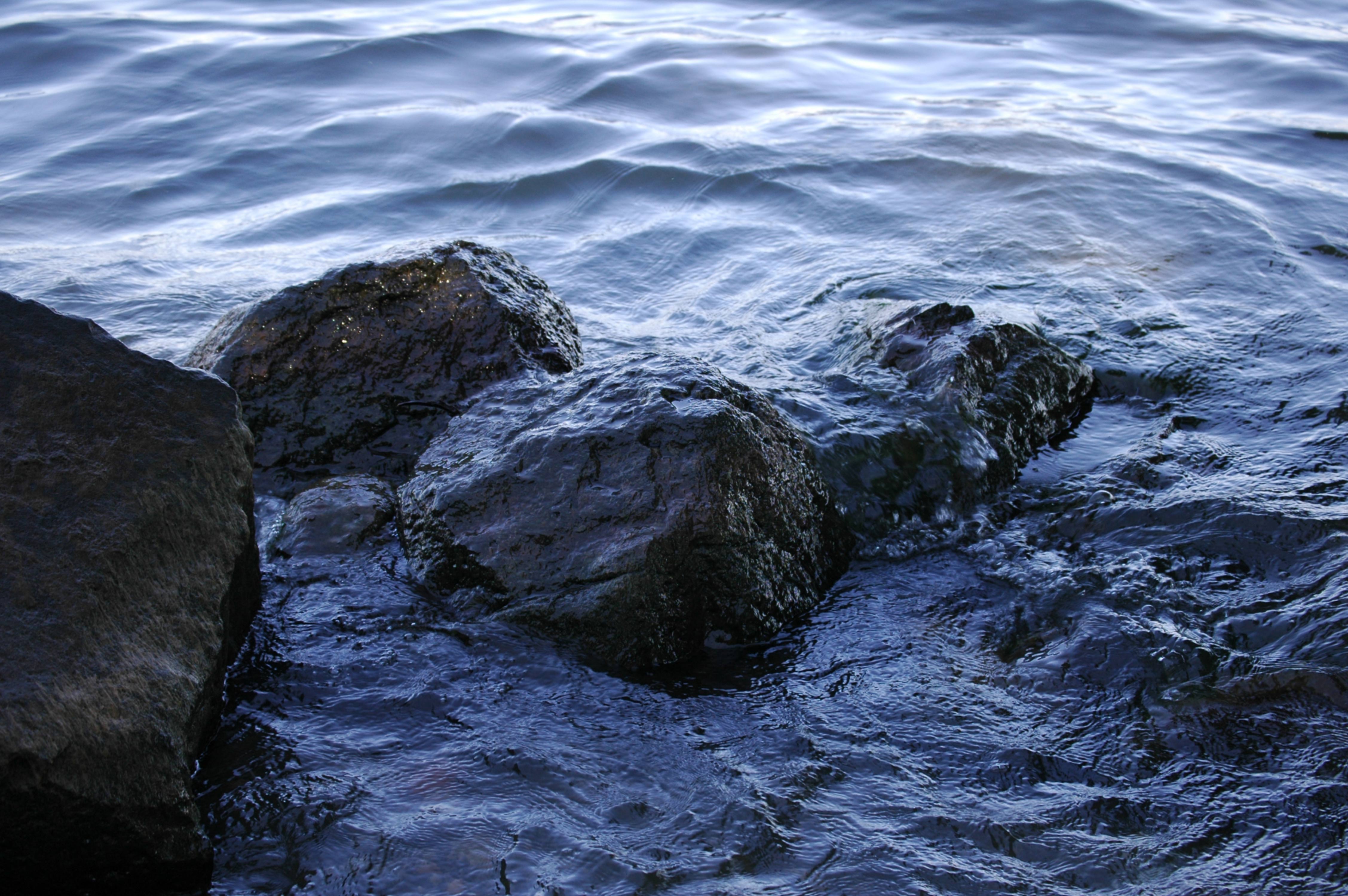 Dark Water and Rocks