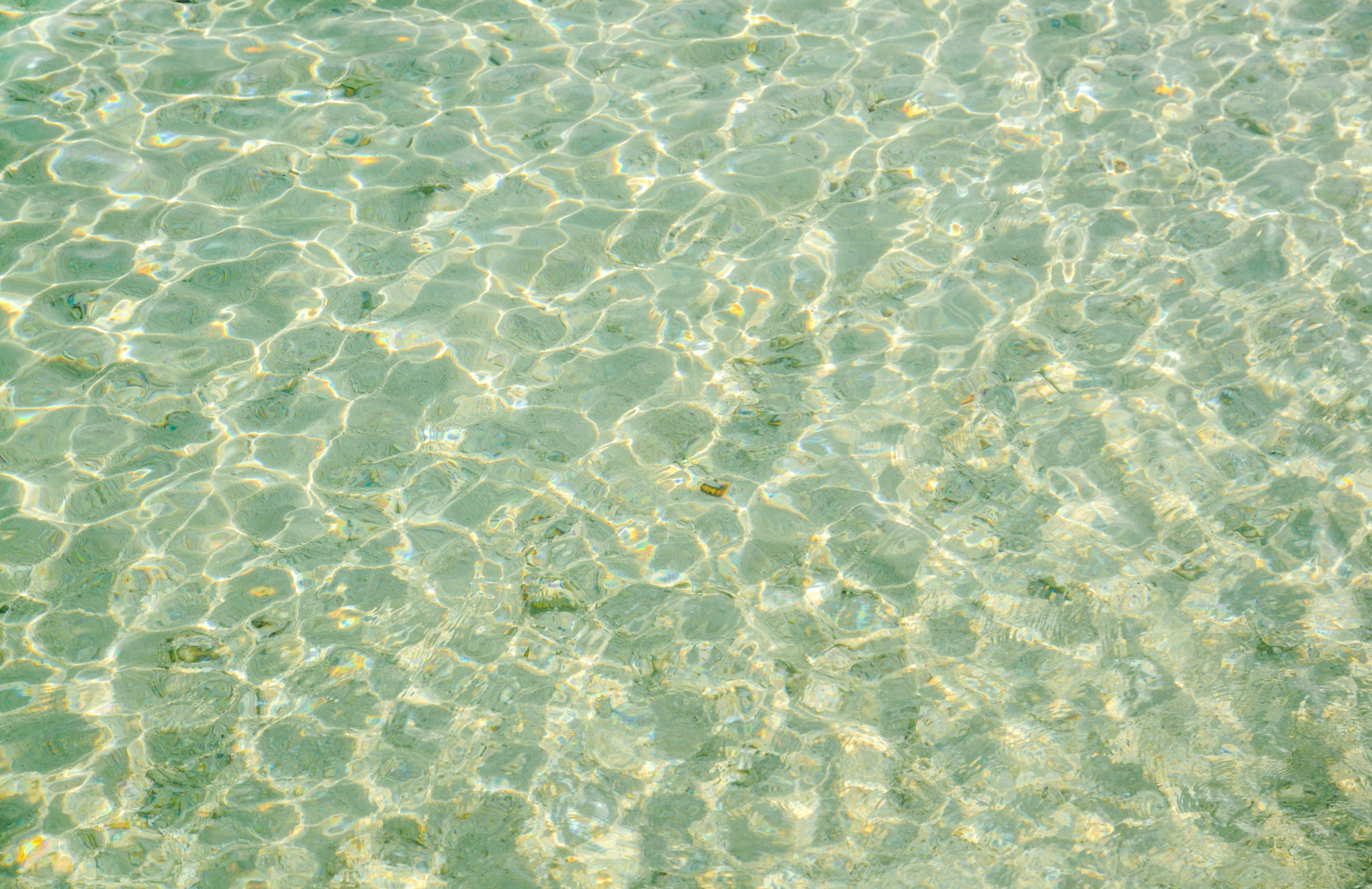 Shallow water tropical beach background