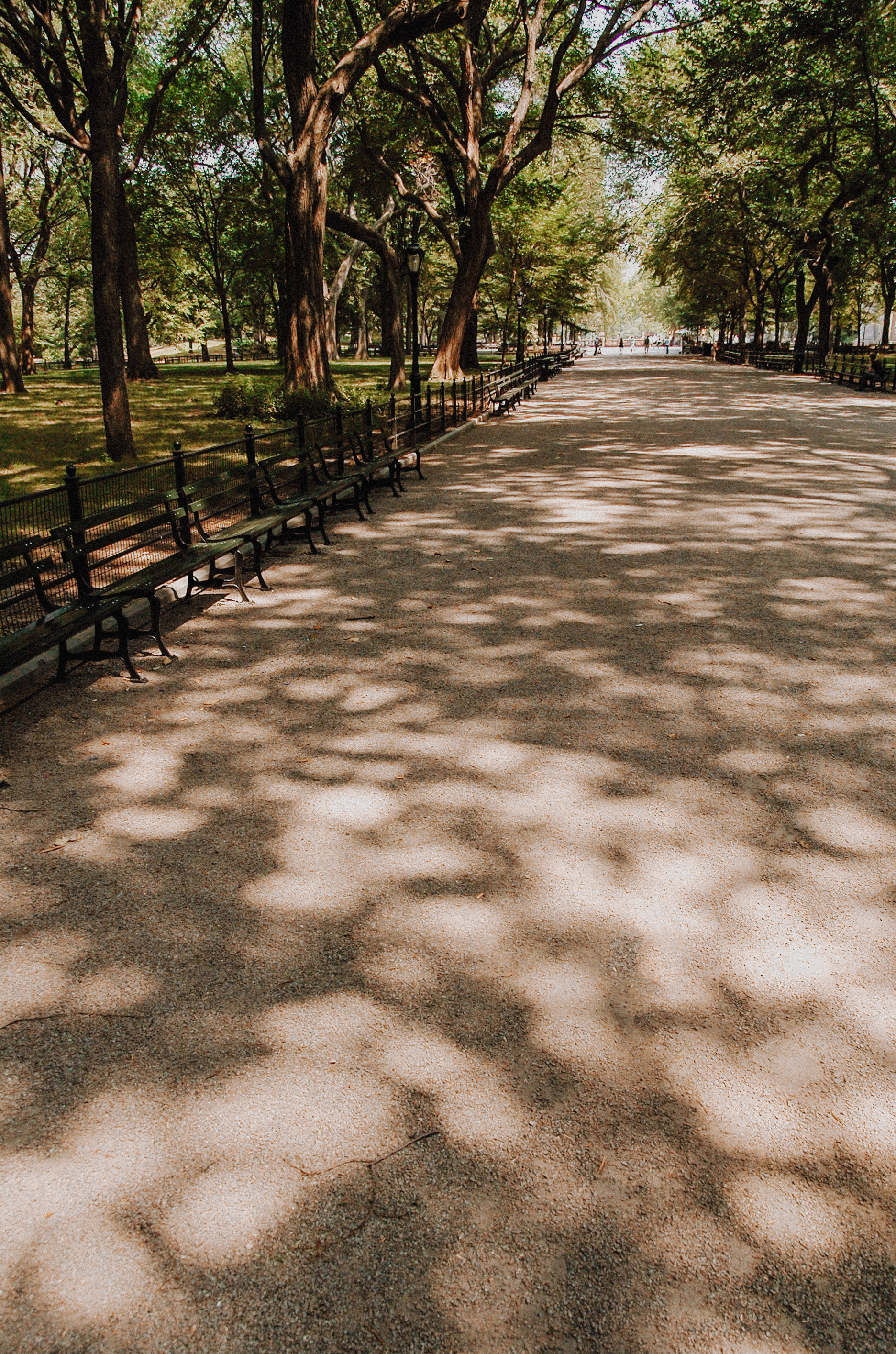 trees path poets walk New York central park empty street