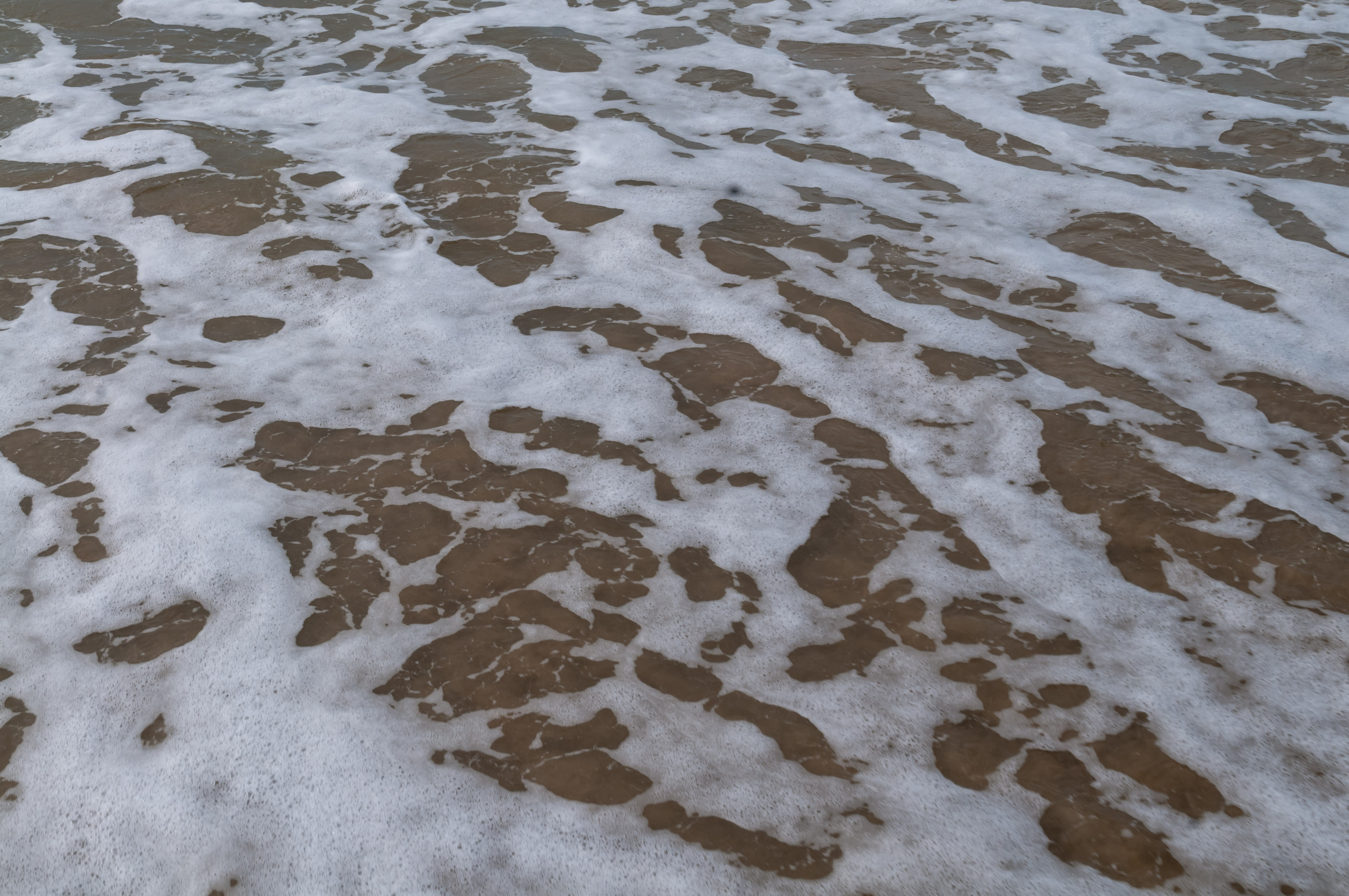 Sea water foam beach full frame