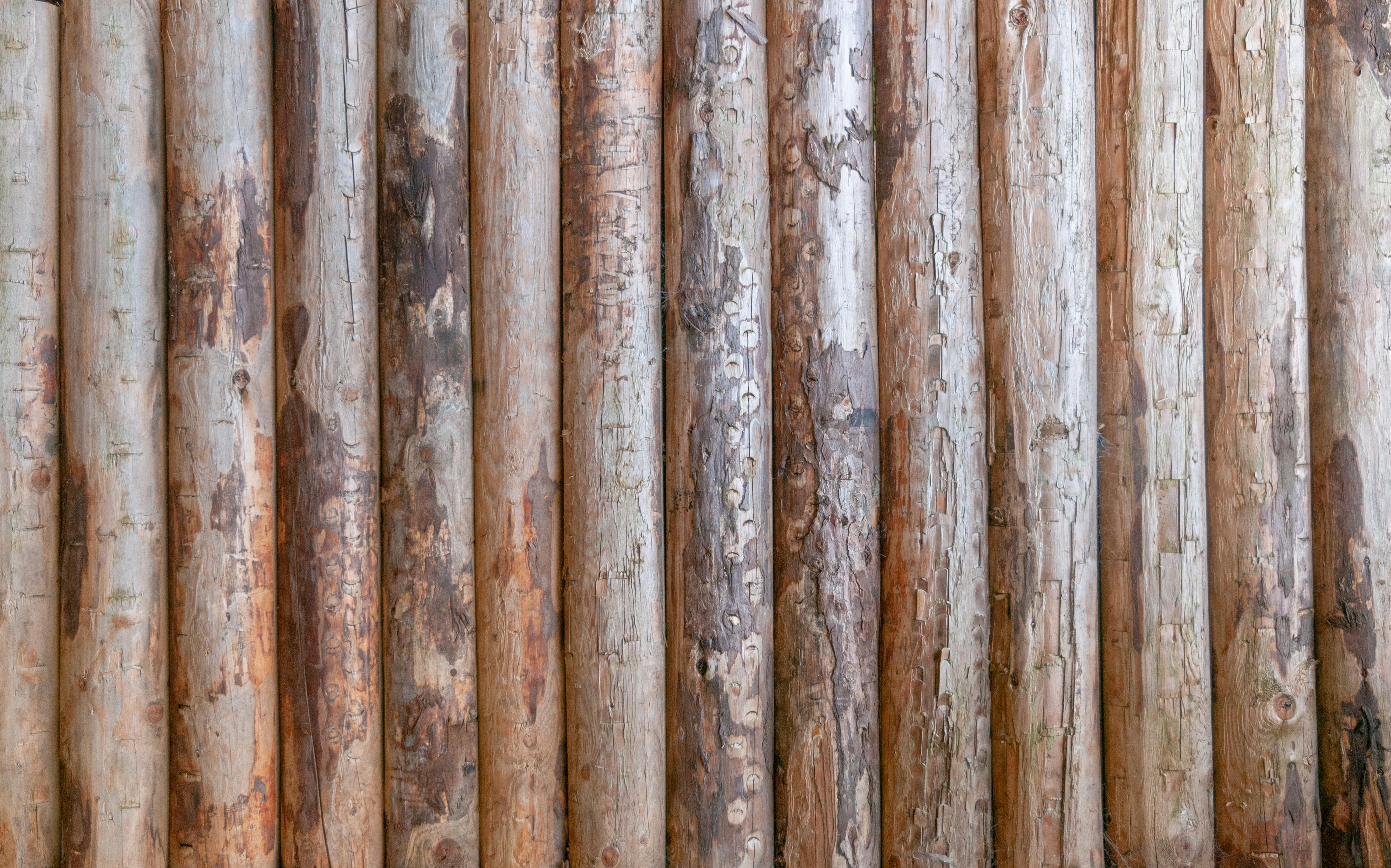 Log cabin wood wall texture