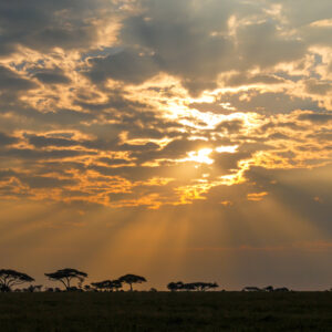 African sunrise beams of light through clouds
