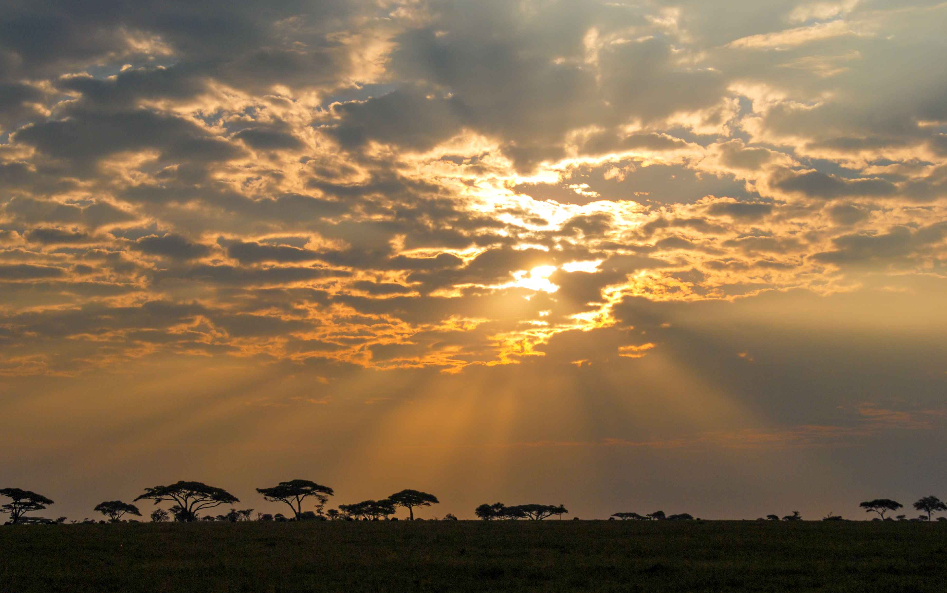 African sunrise beams of light through clouds