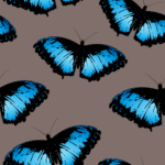 big blue butterfly pattern Morpho menelaus Pattern Pictures