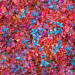 Light colorful turquoise magenta texture pattern of leaves