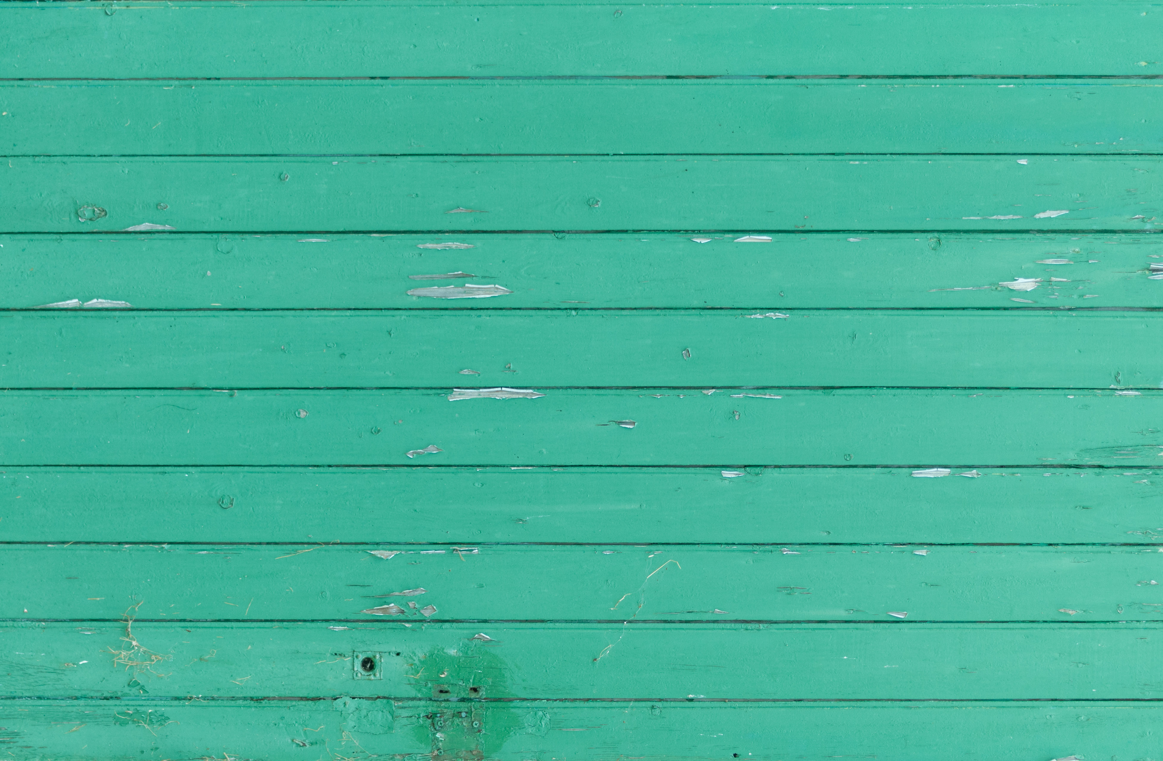 Eroded green wooden door landscape orientation