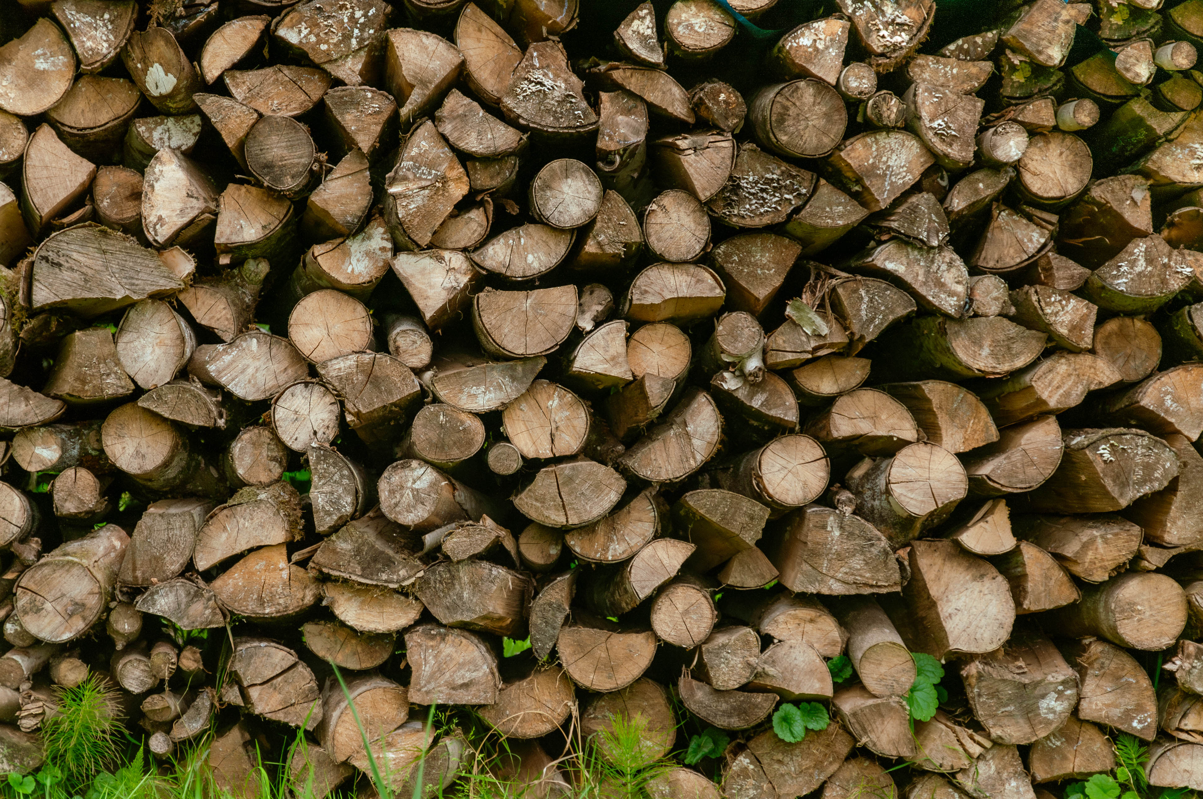 Old chopped wood background texture