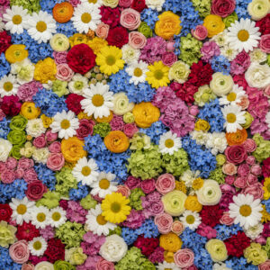 Background full of colourfull flowers