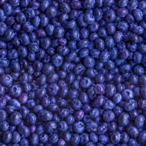 Blueberry closeup seamless pattern